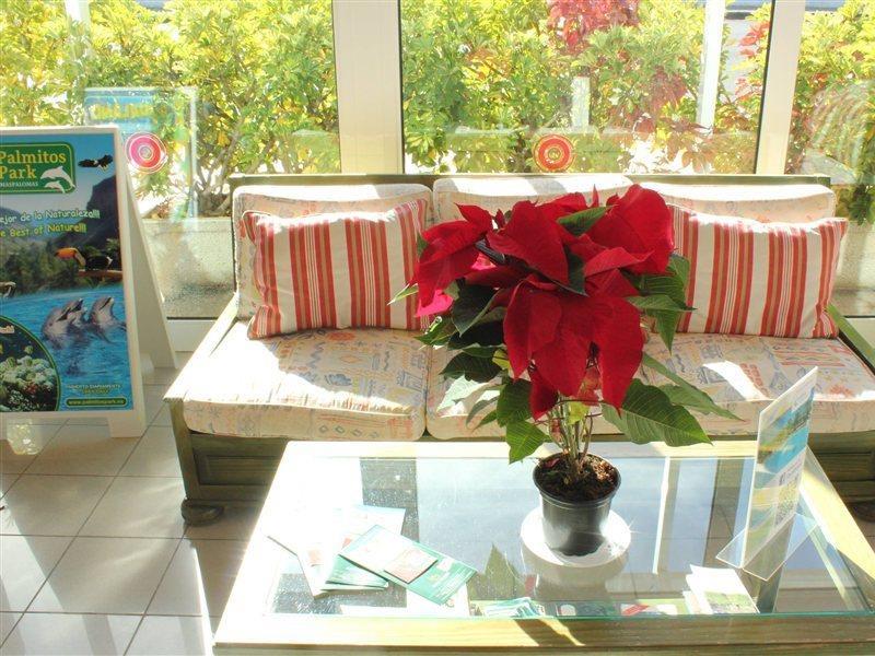 Bungalows Cordial Sandy Golf Maspalomas  Dış mekan fotoğraf
