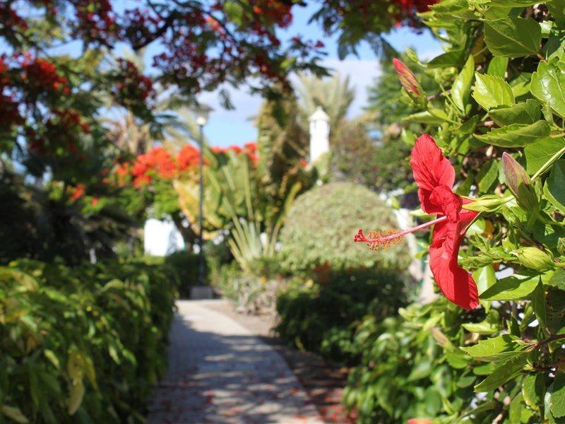 Bungalows Cordial Sandy Golf Maspalomas  Dış mekan fotoğraf