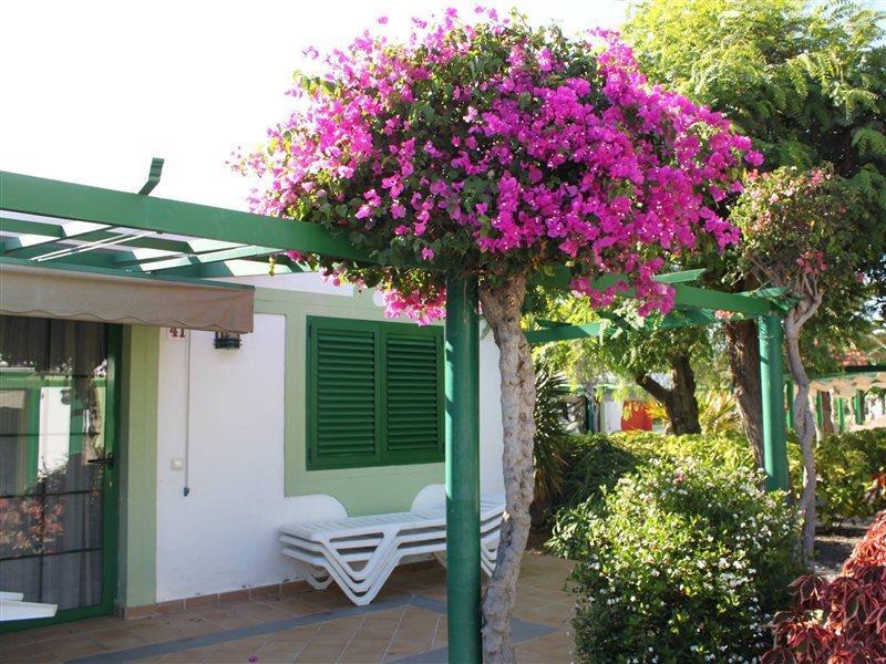Bungalows Cordial Sandy Golf Maspalomas  Dış mekan fotoğraf